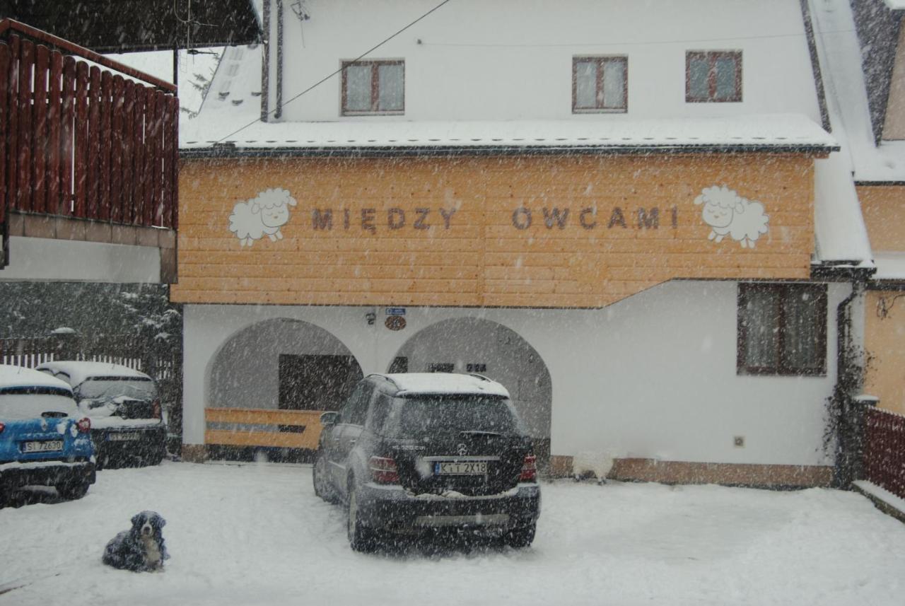 Appartamento Miedzy Owcami Sromowce Wyzne Esterno foto