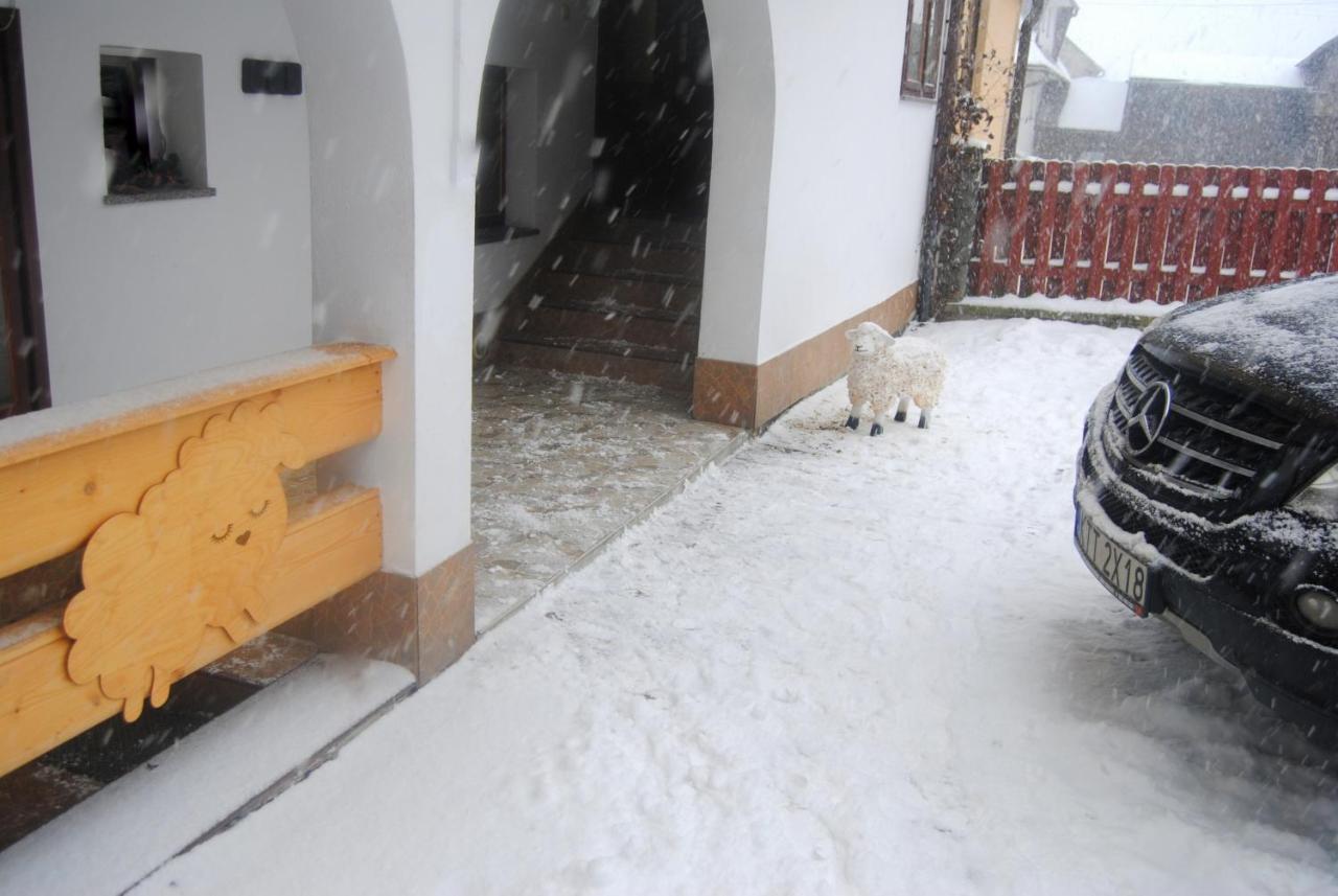 Appartamento Miedzy Owcami Sromowce Wyzne Esterno foto