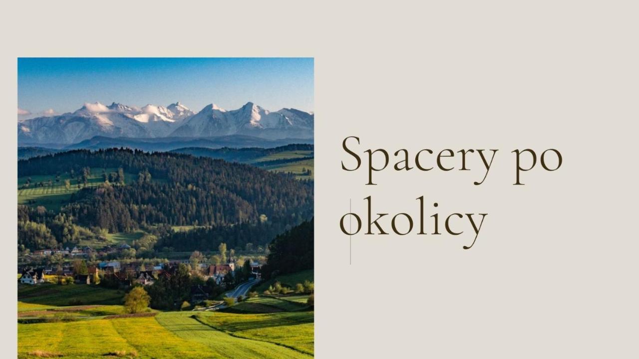 Appartamento Miedzy Owcami Sromowce Wyzne Esterno foto