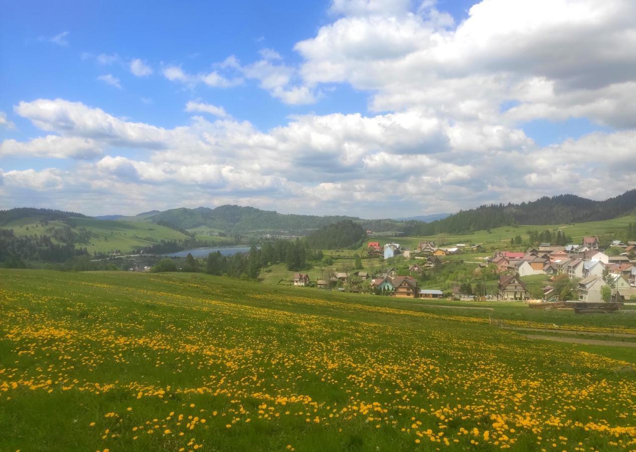 Appartamento Miedzy Owcami Sromowce Wyzne Esterno foto