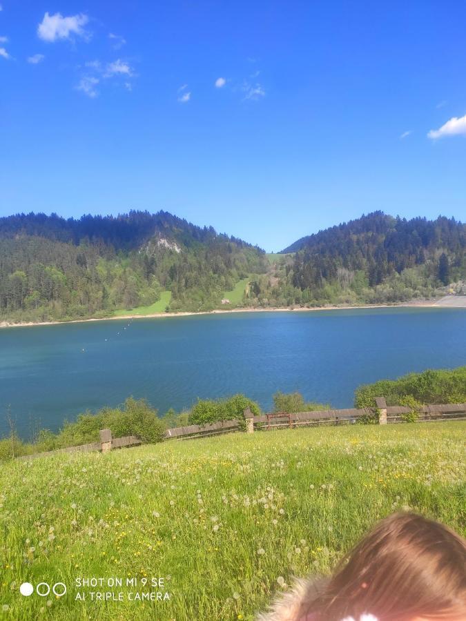Appartamento Miedzy Owcami Sromowce Wyzne Esterno foto